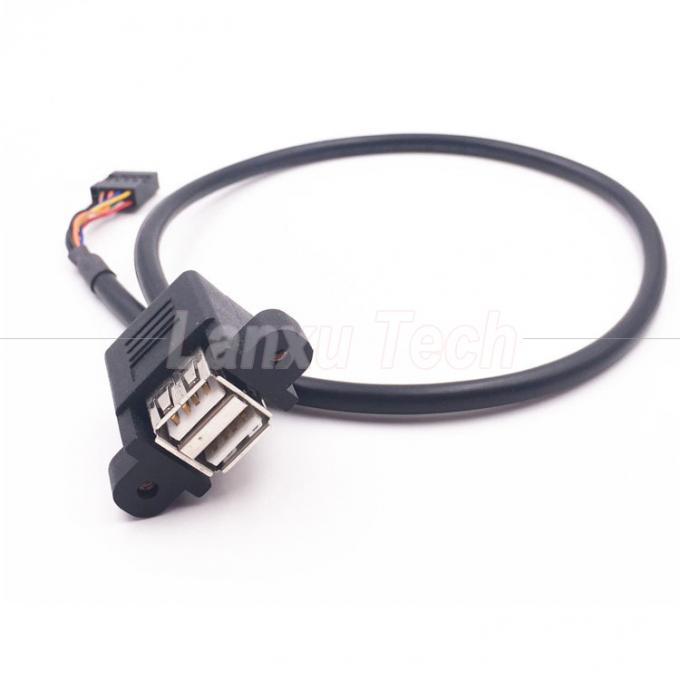 Double câble USB de type A 2 ports monté sur le panneau USB à Dupont 9 broches 6
