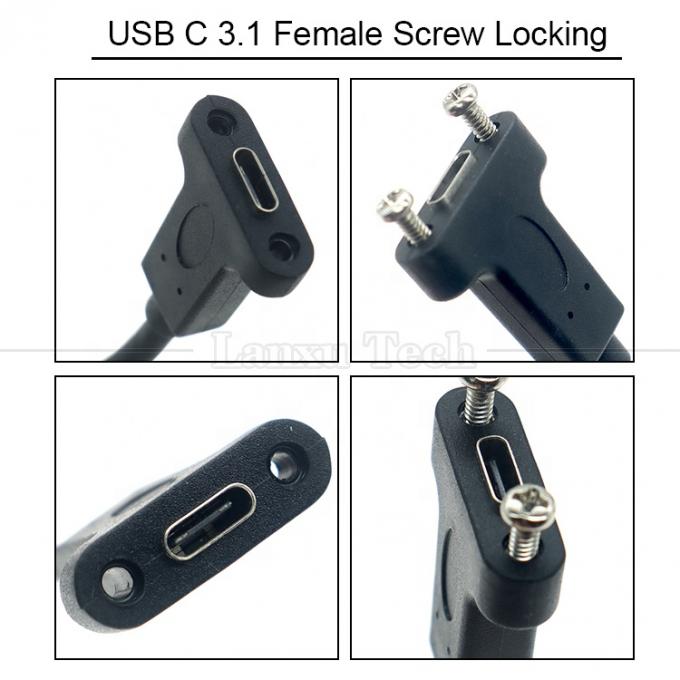 10 Gbps 0,3m 1m mâle à femelle Type C 3.1 Panneau monté en vis trou de verrouillage câble d'extension USB 2