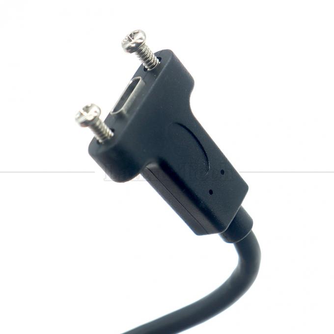 10 Gbps 0,3m 1m mâle à femelle Type C 3.1 Panneau monté en vis trou de verrouillage câble d'extension USB 6