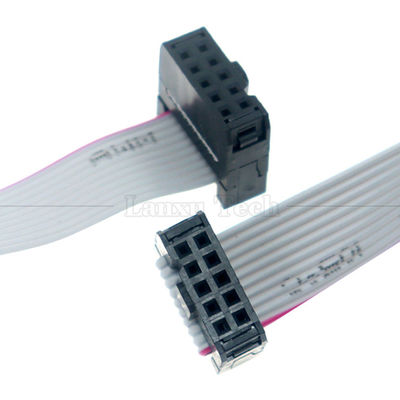 Femme à Femme 10 PIN 1,27 mm Pitch IDC 2,54 mm Connecteur GPIO câble filaire gris à ruban plat pour disques durs CD Raspberry Pi