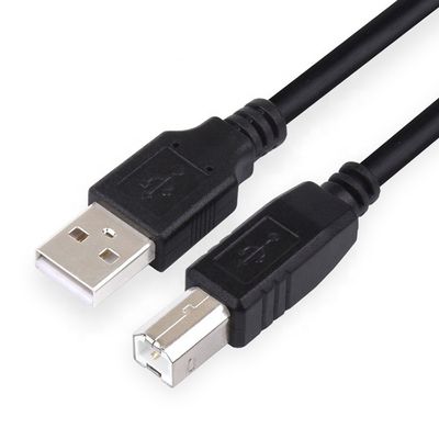 Cable d'imprimante USB de haute qualité de 1m 2m 3m de type B à un câble USB mâle pour HP
